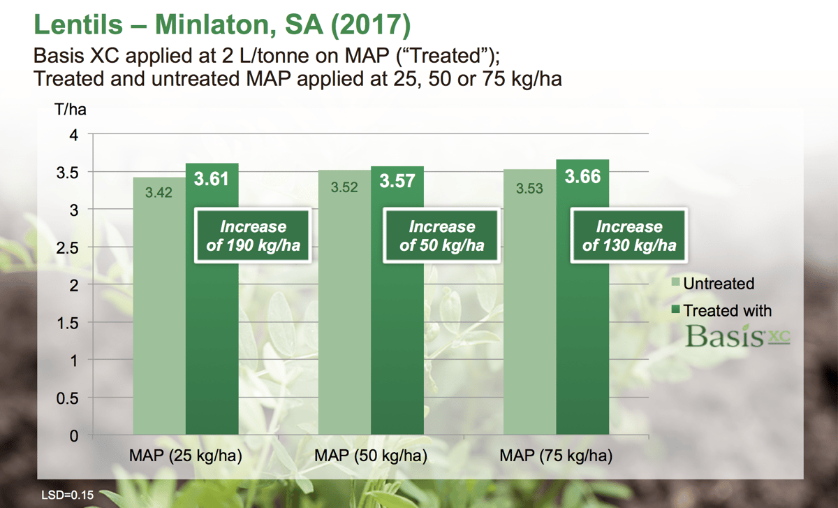 Positive Trend in Lentil Yield with Basis XC on MAP Fertiliser